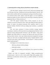 Organizacijų plėtros teorijų taikymas 3 puslapis