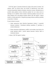 Organizacijų plėtros teorijų taikymas 4 puslapis