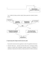 Organizacijų plėtros teorijų taikymas 5 puslapis