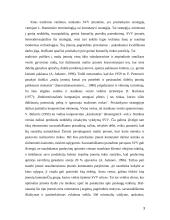 SVV strategijos ir jų įgyvendinimo galimybės. Referatas 3 puslapis