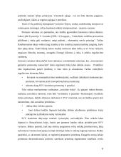 SVV strategijos ir jų įgyvendinimo galimybės. Referatas 6 puslapis