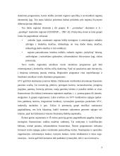 SVV strategijos ir jų įgyvendinimo galimybės. Referatas 7 puslapis