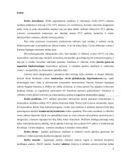 Smulkaus ir vidutinio verslo vystimasis Lietuvoje 2 puslapis