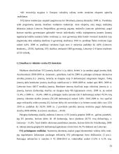 Smulkaus ir vidutinio verslo vystimasis Lietuvoje 11 puslapis