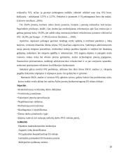 Smulkaus ir vidutinio verslo vystimasis Lietuvoje 12 puslapis