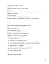 Smulkaus ir vidutinio verslo vystimasis Lietuvoje 13 puslapis