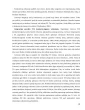 Smulkaus ir vidutinio verslo vystimasis Lietuvoje 19 puslapis