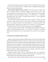 Smulkaus ir vidutinio verslo vystimasis Lietuvoje 20 puslapis