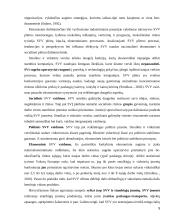 Smulkaus ir vidutinio verslo vystimasis Lietuvoje 5 puslapis