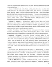 Smulkaus ir vidutinio verslo vystimasis Lietuvoje 9 puslapis