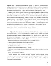 Smulkaus ir vidutinio verslo vystimasis Lietuvoje 10 puslapis