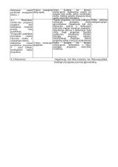 Strateginis valdymas: apibrėžimai, sąvokos  13 puslapis