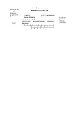 Strateginis valdymas: apibrėžimai, sąvokos  4 puslapis