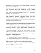 F. Teiloro nuopelnai vadybos moksle 15 puslapis