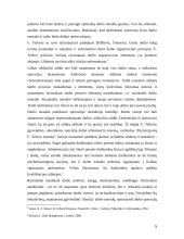 F. Teiloro nuopelnai vadybos moksle 5 puslapis