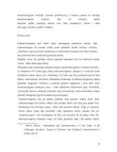 Valdymo globalizacija. Referatas 8 puslapis