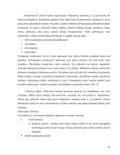 Tiesioginių išteklių analizė 11 puslapis
