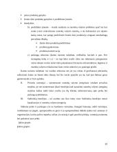 Tiesioginių išteklių analizė 12 puslapis