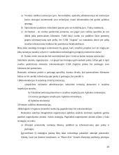Tiesioginių išteklių analizė 13 puslapis