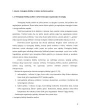 Tiesioginių išteklių analizė 4 puslapis