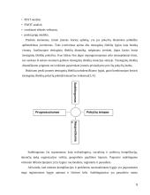Tiesioginių išteklių analizė 5 puslapis