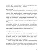 Tiesioginių išteklių analizė 6 puslapis