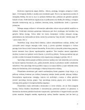 Tiesioginių išteklių analizė 7 puslapis