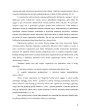Tiesioginių išteklių analizė 8 puslapis