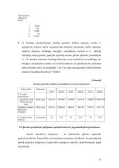 Įmonės veiklos planavimas. Kursinis darbas 16 puslapis