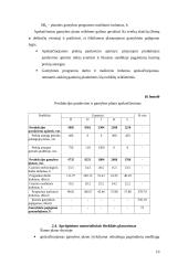 Įmonės veiklos planavimas. Kursinis darbas 19 puslapis