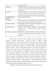 Organizacija, organizacijų kultūra 12 puslapis