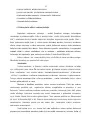 Organizacija, organizacijų kultūra 13 puslapis