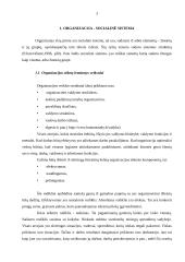 Organizacija, organizacijų kultūra 3 puslapis