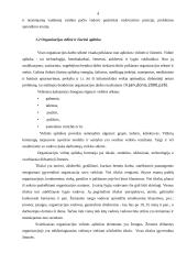 Organizacija, organizacijų kultūra 4 puslapis