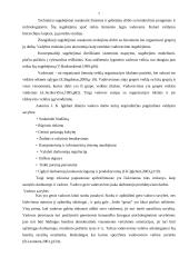 Organizacija, organizacijų kultūra 7 puslapis