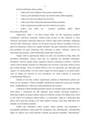 Organizacija, organizacijų kultūra 8 puslapis