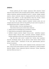 Planavimo funkcija organizacijoje 2 puslapis