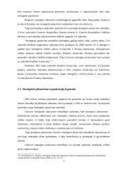 Planavimo funkcija organizacijoje 13 puslapis