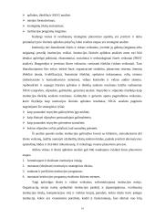 Planavimo funkcija organizacijoje 14 puslapis