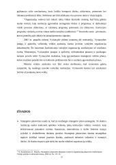 Planavimo funkcija organizacijoje 19 puslapis