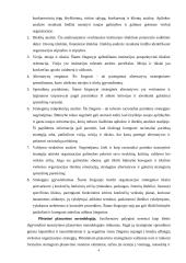 Planavimo funkcija organizacijoje 4 puslapis