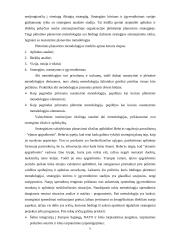 Planavimo funkcija organizacijoje 6 puslapis