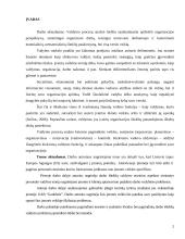 Valdymo proceso analizė. Diplominis darbas 2 puslapis