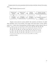 Valdymo proceso analizė. Diplominis darbas 12 puslapis