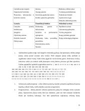 Valdymo proceso analizė. Diplominis darbas 16 puslapis