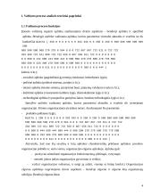 Valdymo proceso analizė. Diplominis darbas 4 puslapis