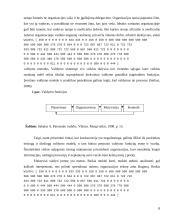 Valdymo proceso analizė. Diplominis darbas 8 puslapis