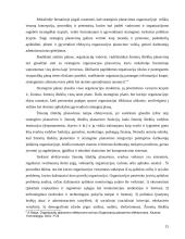 Valdymo proceso analizės diplominis darbas 15 puslapis