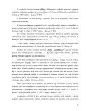 Valdymo proceso analizės diplominis darbas 18 puslapis