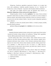 Valdymo proceso analizės diplominis darbas 20 puslapis